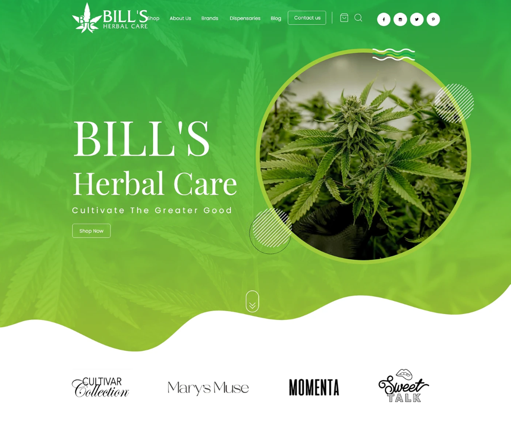 Herbal Wellness Website Design