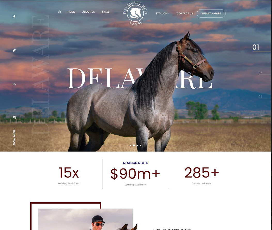 Delaware Run Farm Website Design